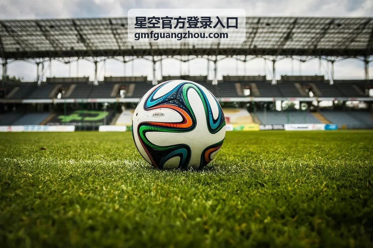 星空官方登录入口页面地址核对示意图