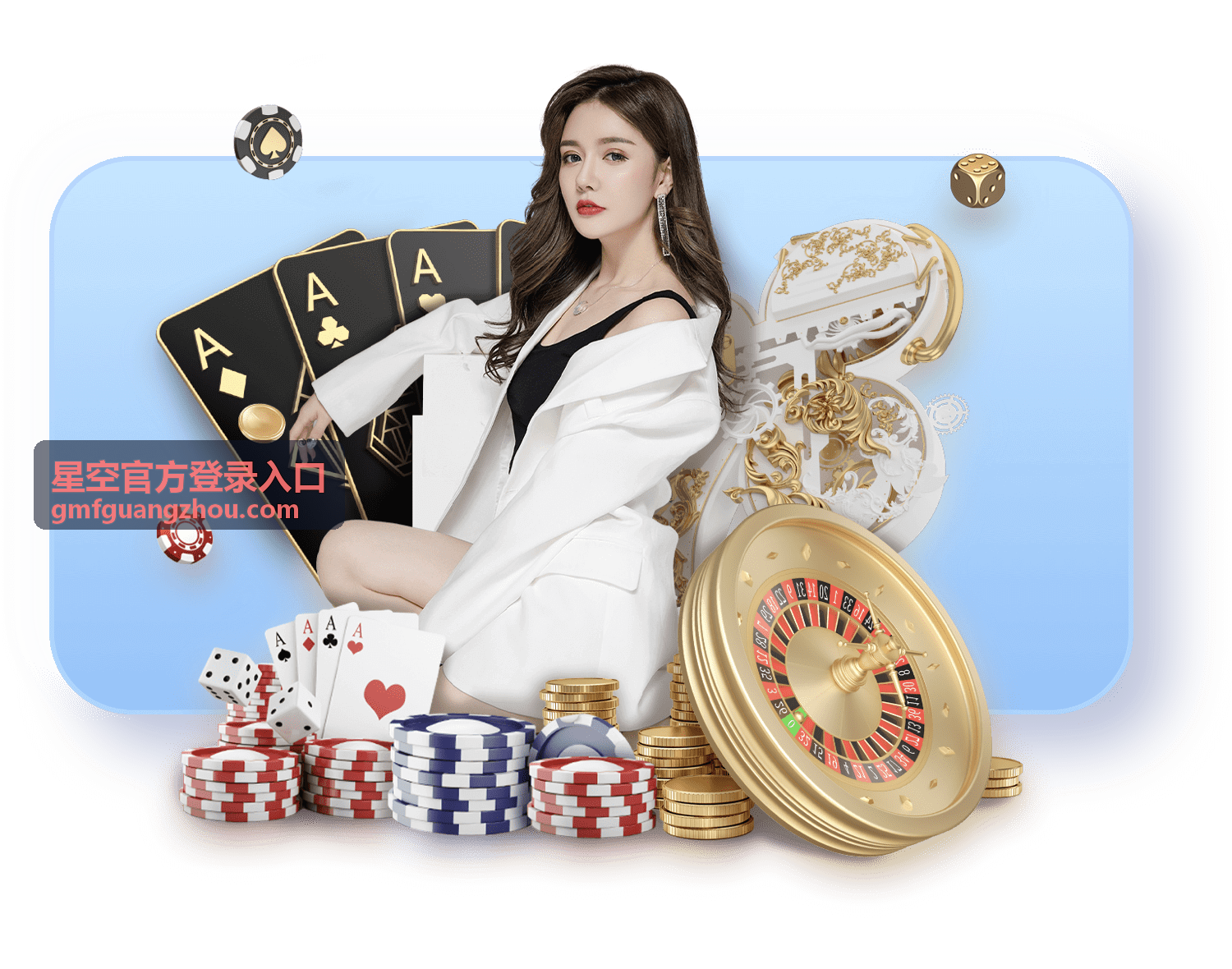 星空官方登录入口登录表单字段说明